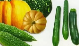 吃瓜爆料的配音是哪个,是谁演绎了这个热门梗？